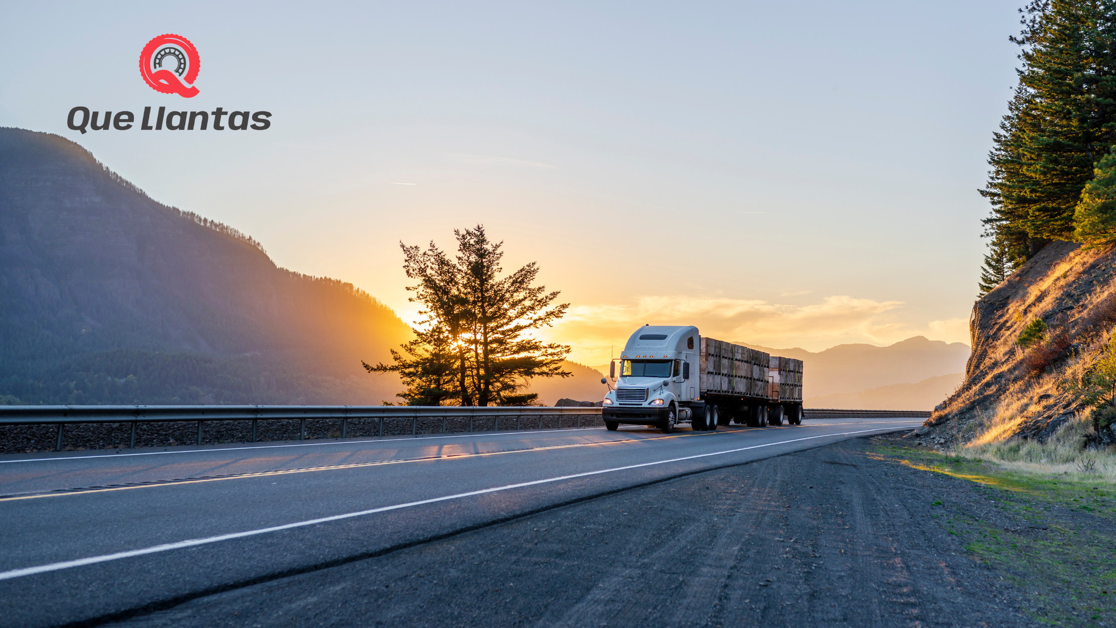 Cómo Mejorar la Rentabilidad en el Transporte de Carga con una Buena Alineación de Llantas 🚛💡