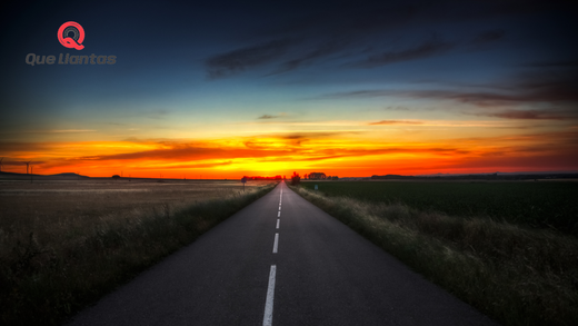 ¿Cómo Preparar tu Flota para el Éxito en 2025: Estrategias Clave para Flotas Rentables?