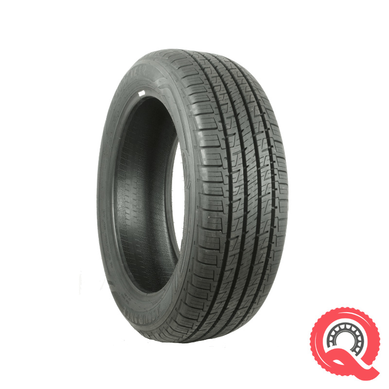 225-55R19 GOODYEAR ASSURANCE MAXLIFE